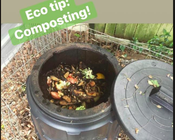 Day 2 of the 14 Day Cattai Challenge – Compost Your Food Waste